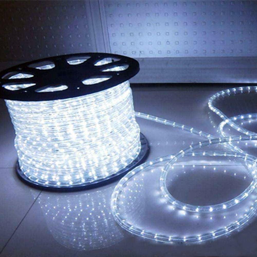 Outdoor LED Rope Lights | Indoor Cove Lighting | 5050 LED - 164 Feet ...