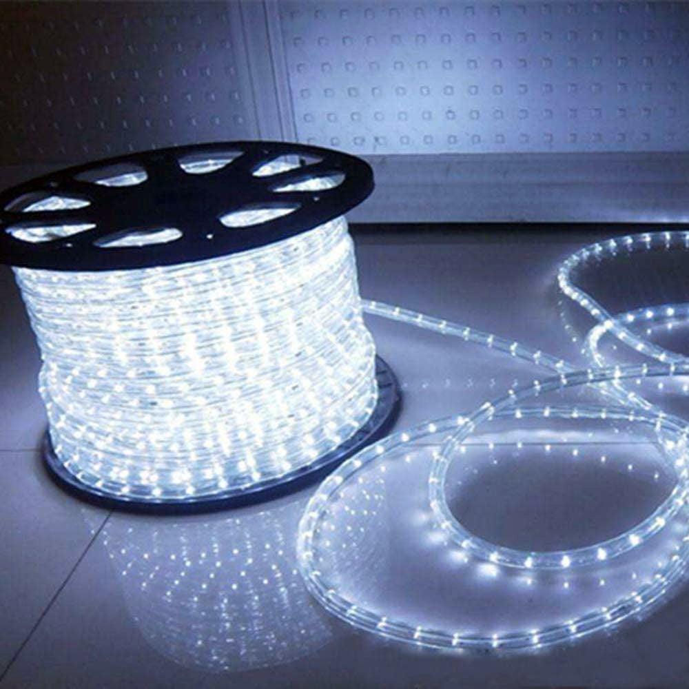 Outdoor LED Rope Lights - 120V 5050 LED Waterproof String Lighting | Indoor Cove Lighting - 164 Feet - Carrier LED